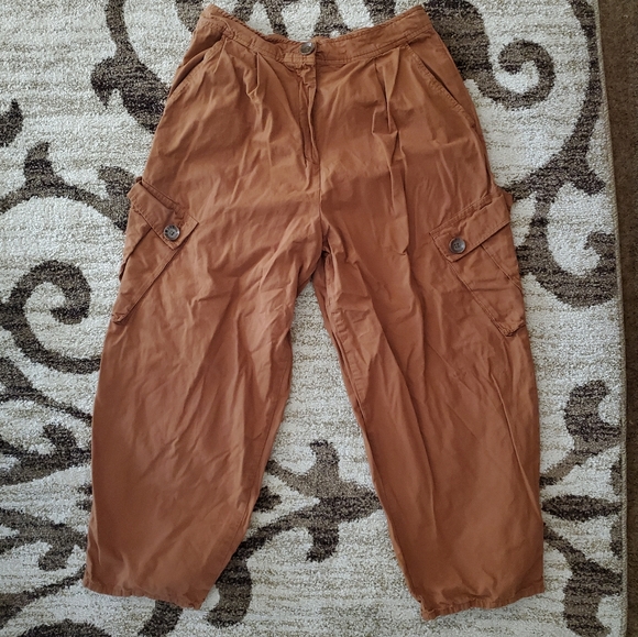 Free People Pants - Free People | Pleated Tan Crops 12